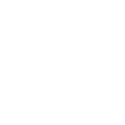texas_flim logo