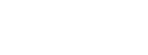 UT-Diversity-i